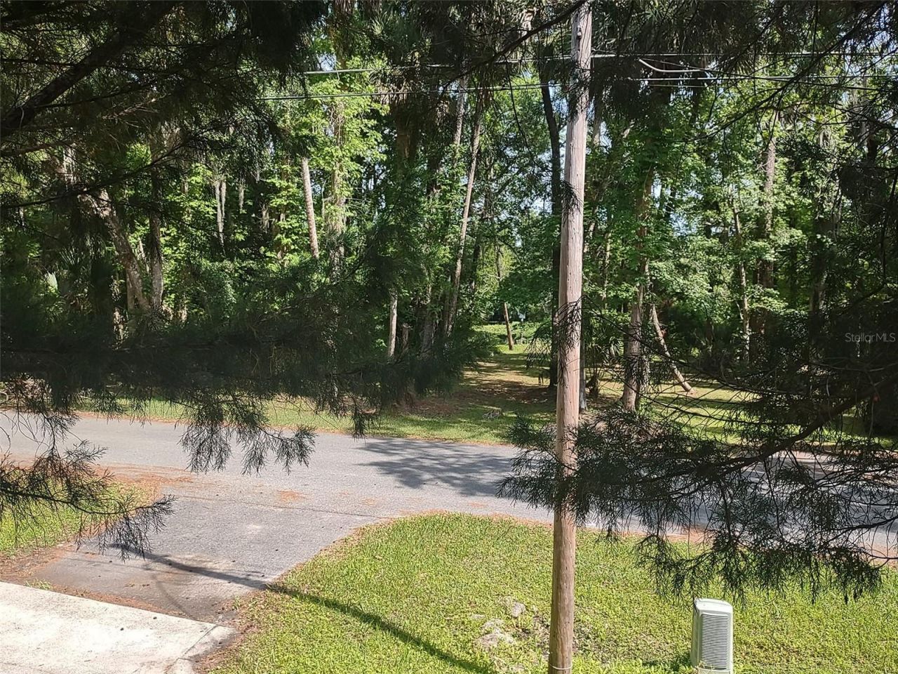 56508 Blue Creek Road, Astor, FL 32102 Photo