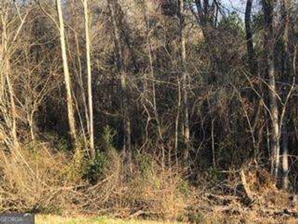 00 Hwy 135, Uvalda, GA 30473