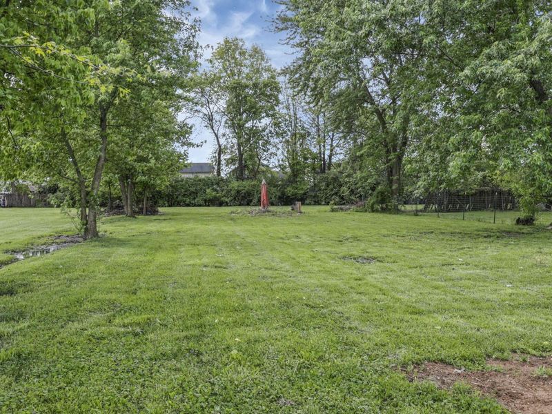 1101 Meadow Lane, Columbus, OH 43207 Photo 34
