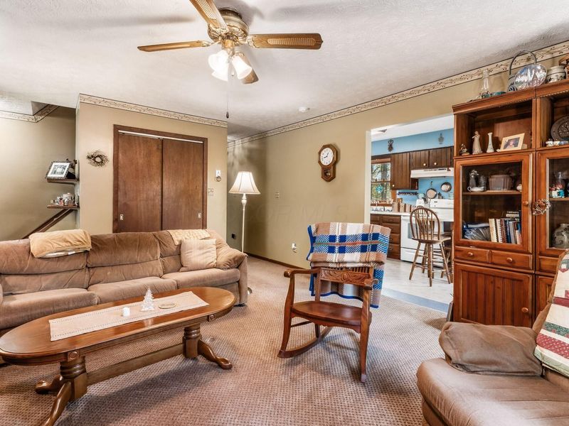 29838 Strawn Road, Logan, OH 43138 Photo 11