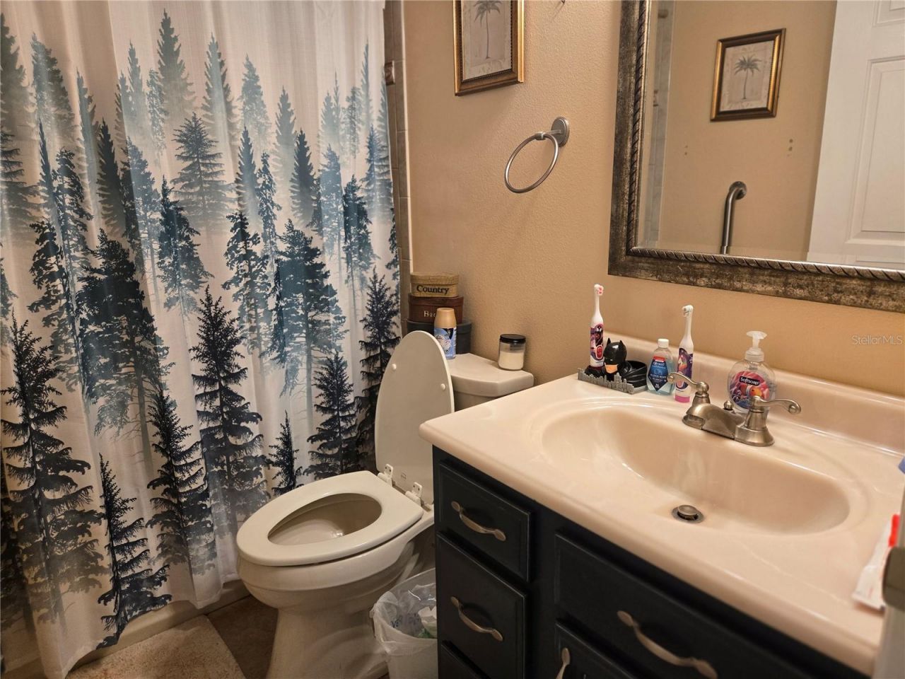 2672 SE 35th Street, Sumterville, FL 33585 Photo