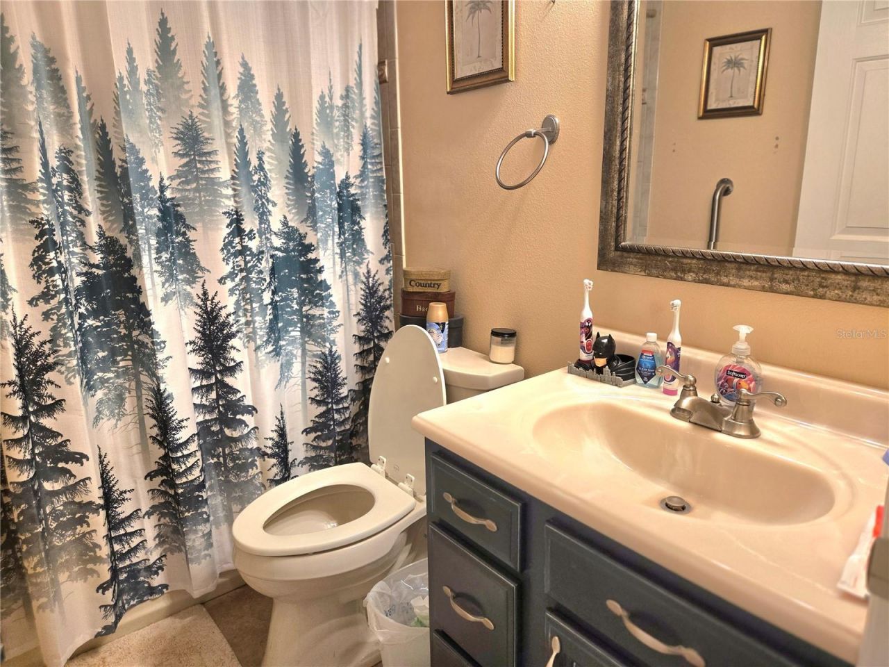 2672 SE 35th Street, Sumterville, FL 33585 Photo