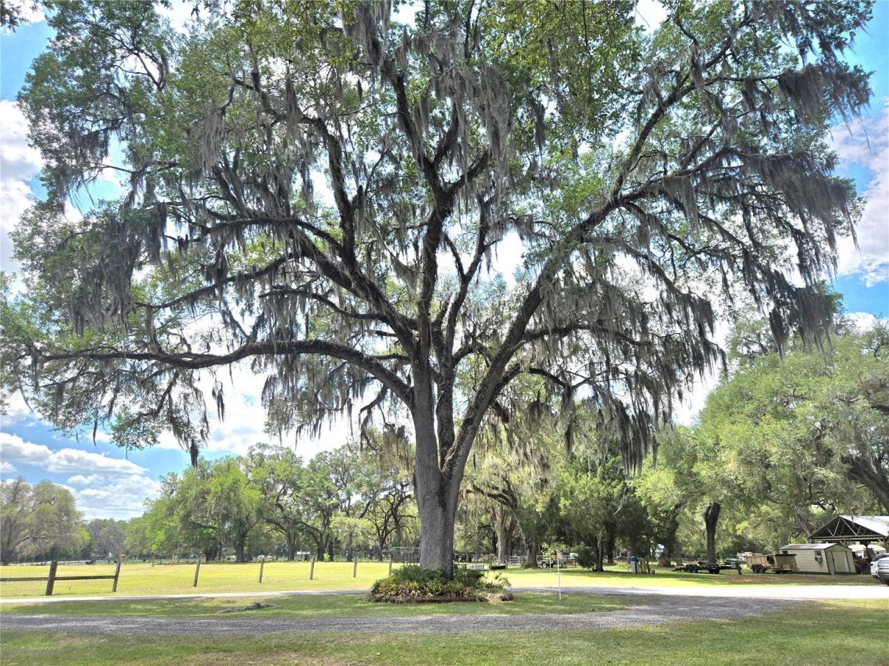 2672 SE 35th Street, Sumterville, FL 33585 Photo