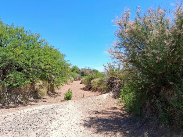 TBD N Mahan Road, Unit 2, San Simon, AZ 85632