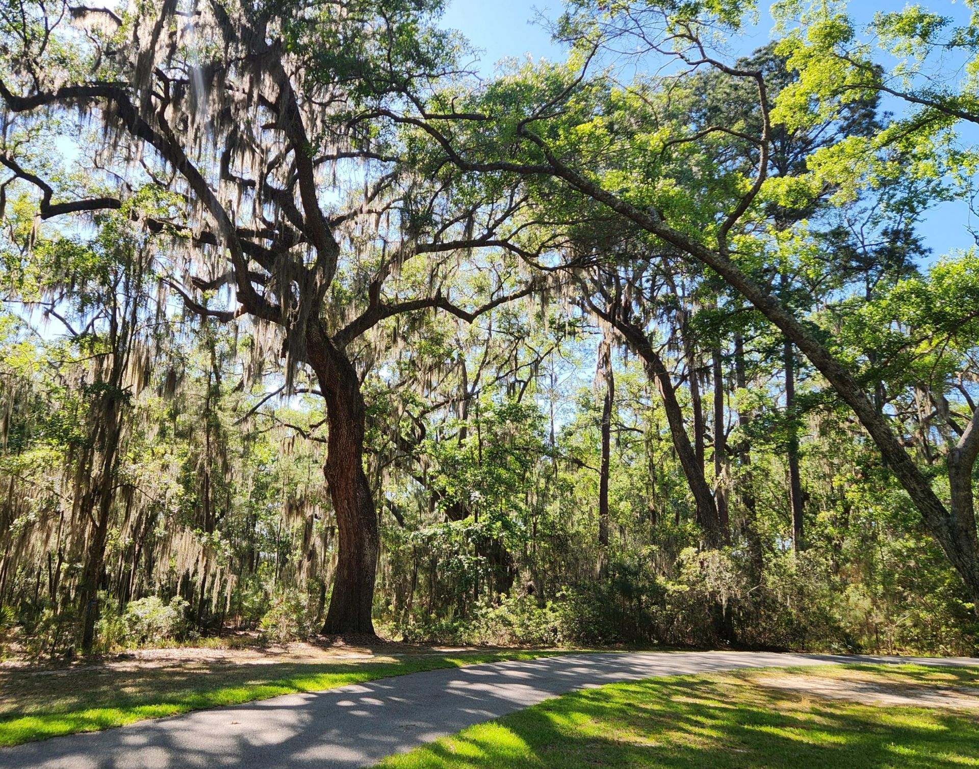 75 Island Way Photo 15