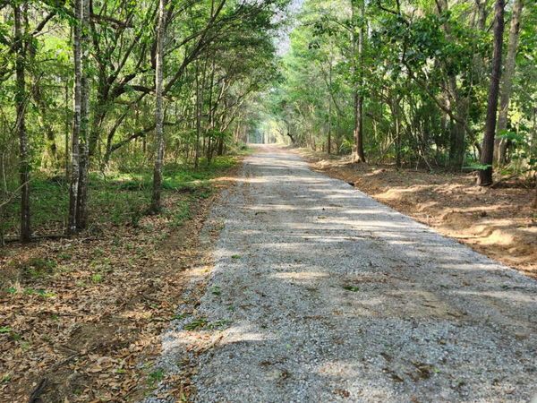 Parcel 3 Shiyou Road, Pass Christian, MS 39571