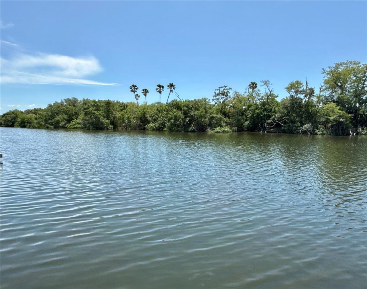 460 Mount Oak Avenue Ne, Unit 745, Saint Petersburg, FL 33702 Photo