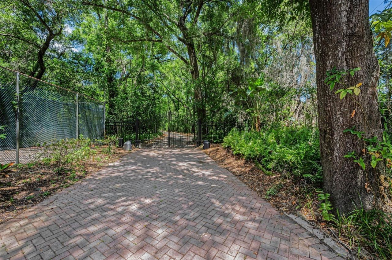 8602 Bonnie Cove Lane, Odessa, FL 33556 Photo