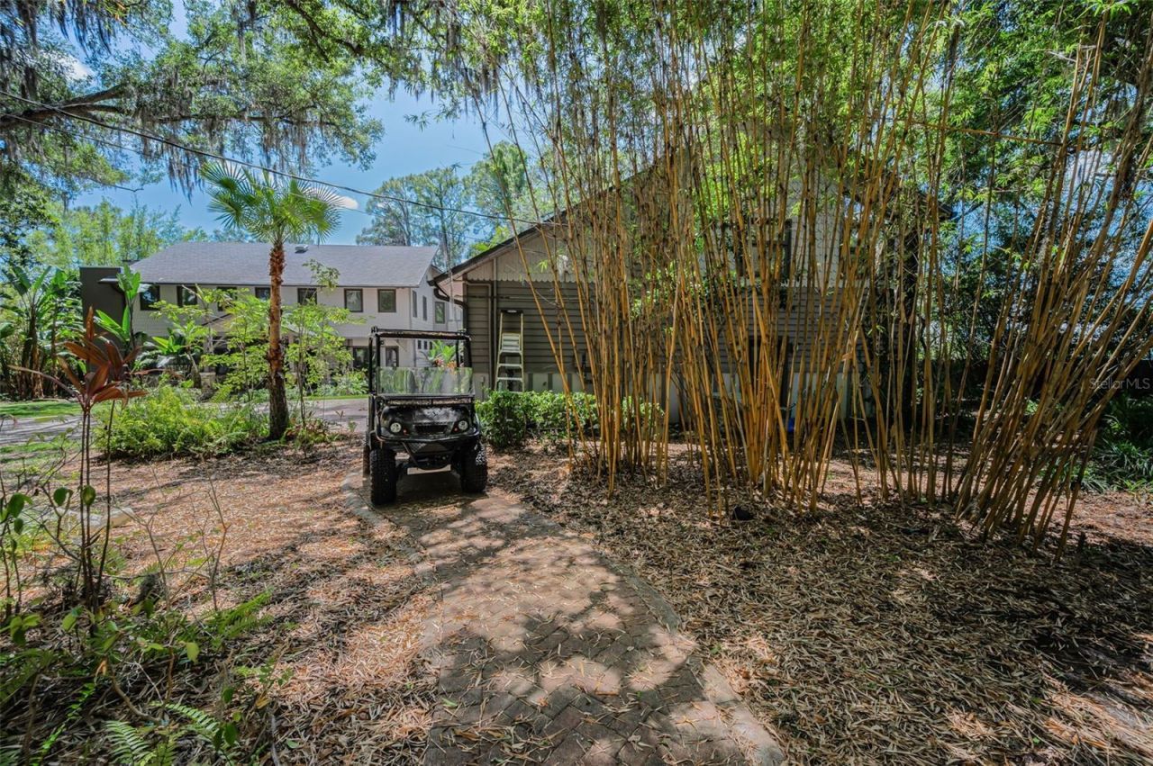 8602 Bonnie Cove Lane, Odessa, FL 33556 Photo