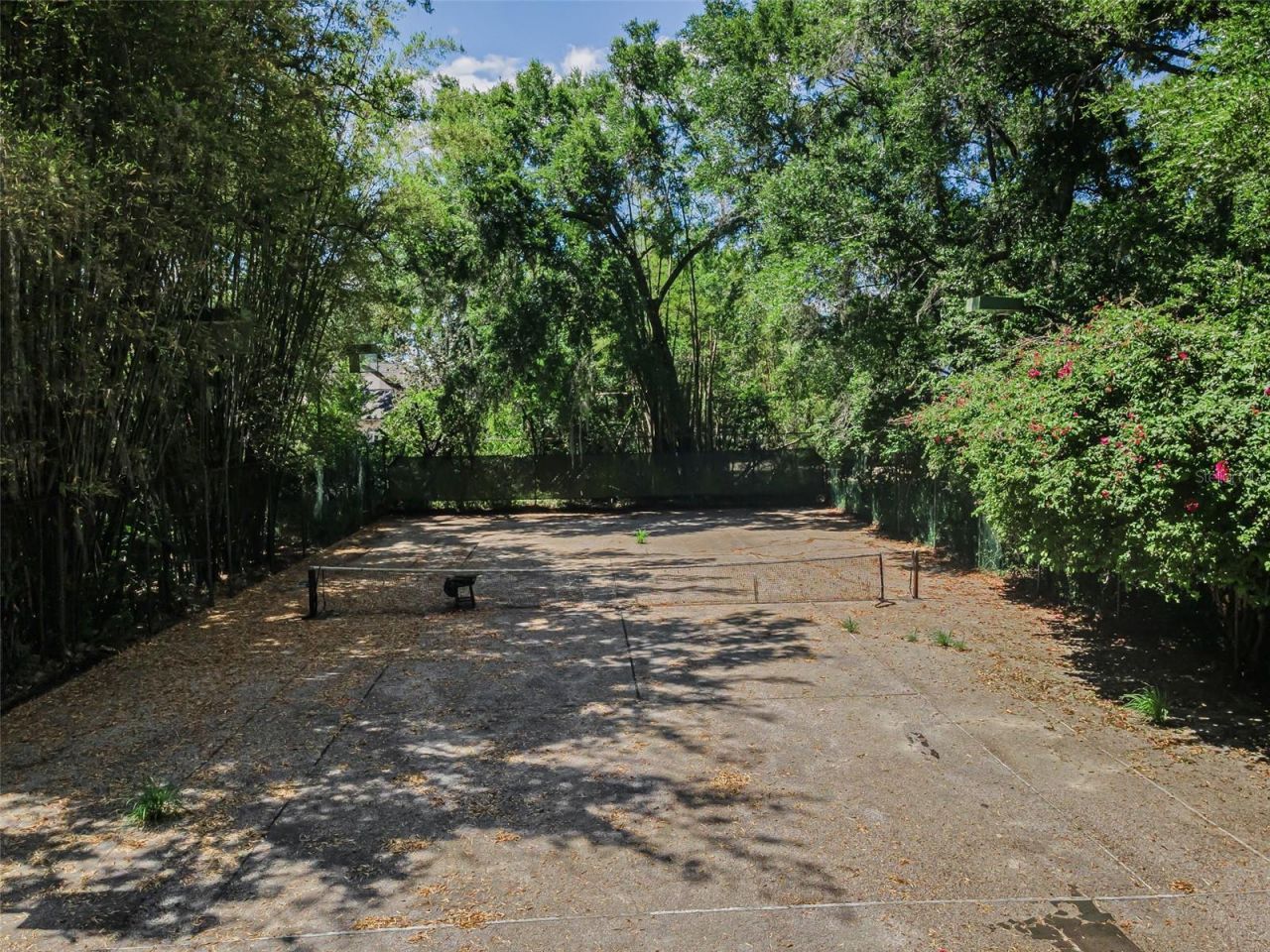 8602 Bonnie Cove Lane, Odessa, FL 33556 Photo