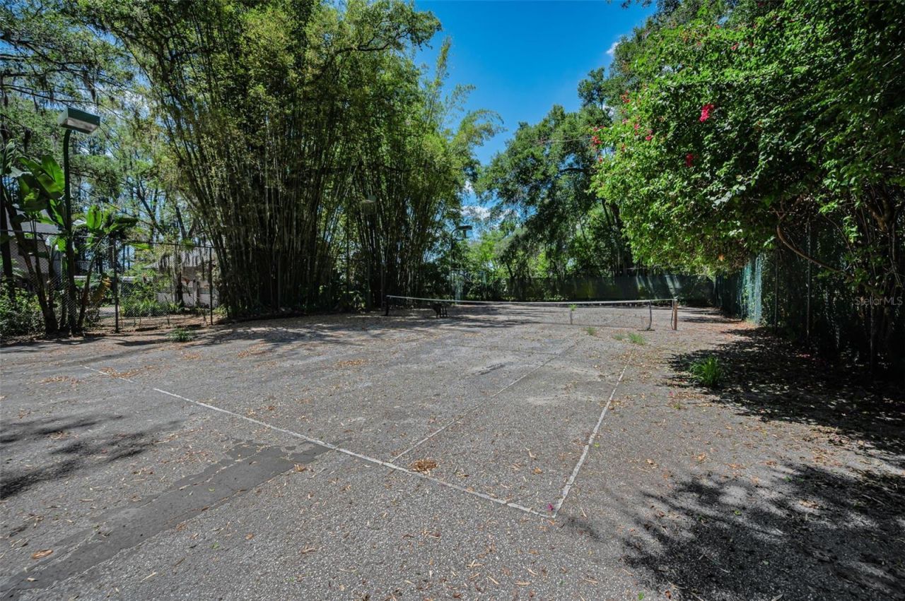 8602 Bonnie Cove Lane, Odessa, FL 33556 Photo