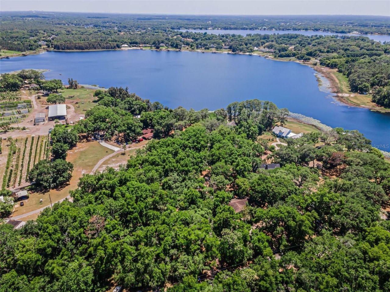 8602 Bonnie Cove Lane, Odessa, FL 33556 Photo