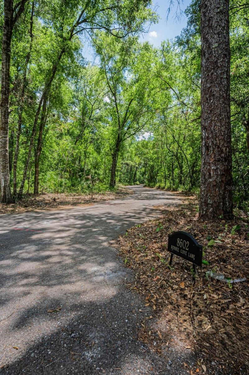 8602 Bonnie Cove Lane, Odessa, FL 33556 Photo