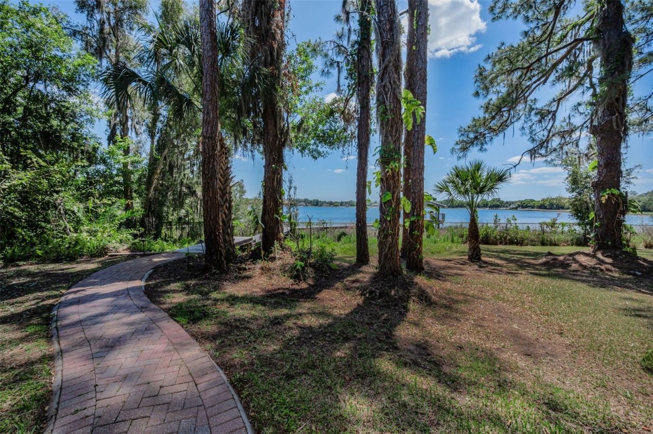 8602 Bonnie Cove Lane, Odessa, FL 33556 Photo