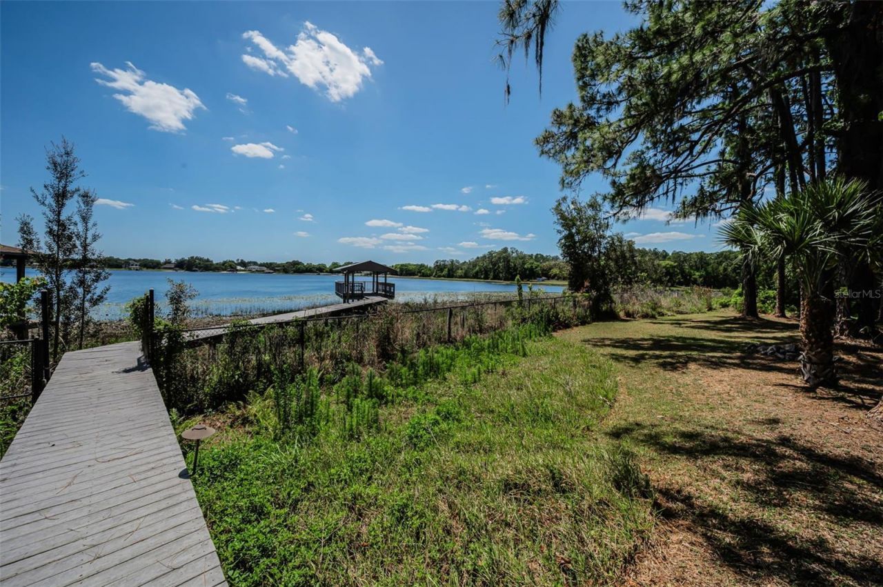 8602 Bonnie Cove Lane, Odessa, FL 33556 Photo