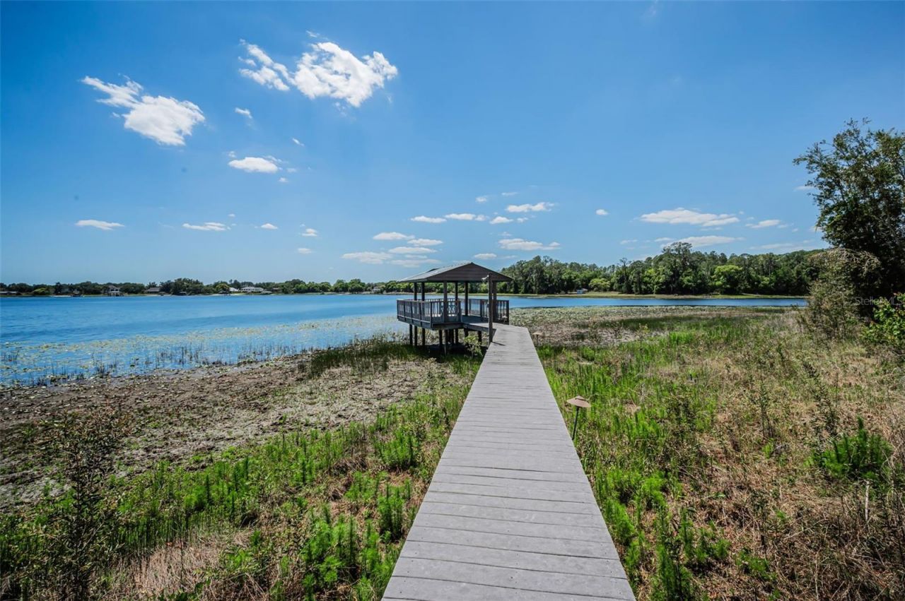 8602 Bonnie Cove Lane, Odessa, FL 33556 Photo