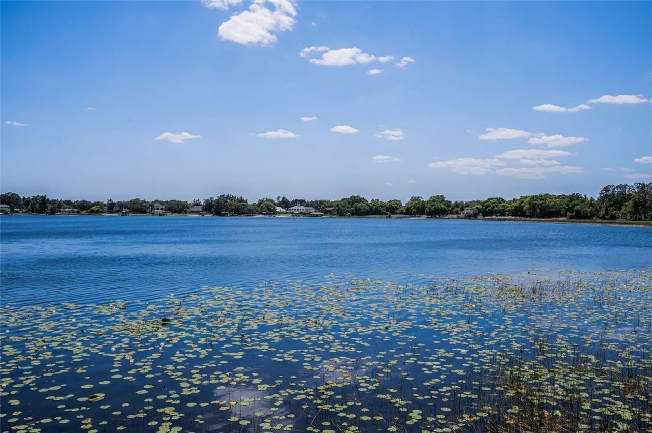8602 Bonnie Cove Lane, Odessa, FL 33556 Photo