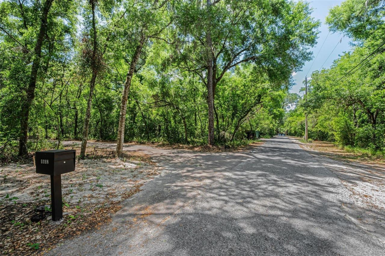 8602 Bonnie Cove Lane, Odessa, FL 33556 Photo