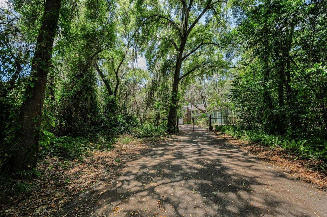 8602 Bonnie Cove Lane, Odessa, FL 33556 Photo