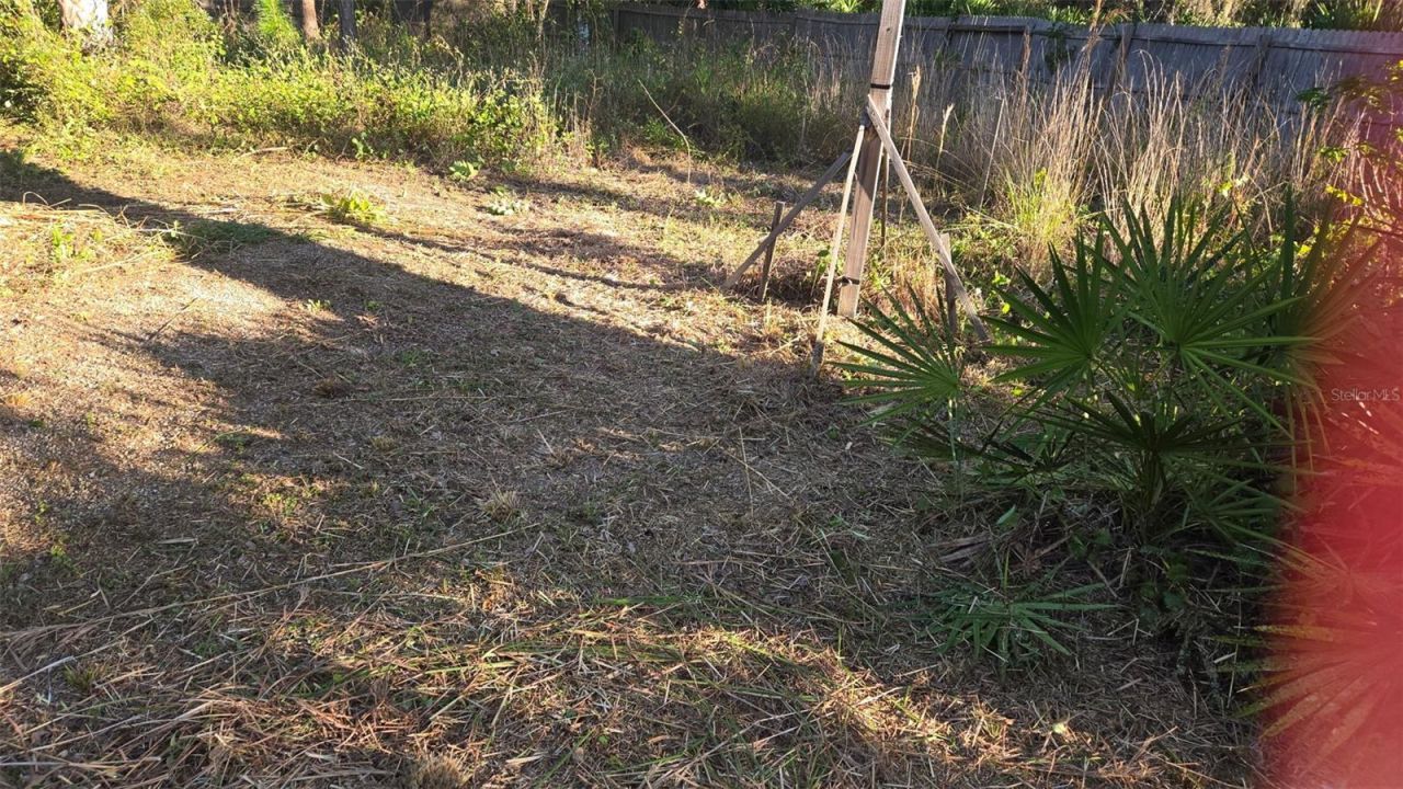 1231 Ramus Street E, Lehigh Acres, FL 33974 Photo