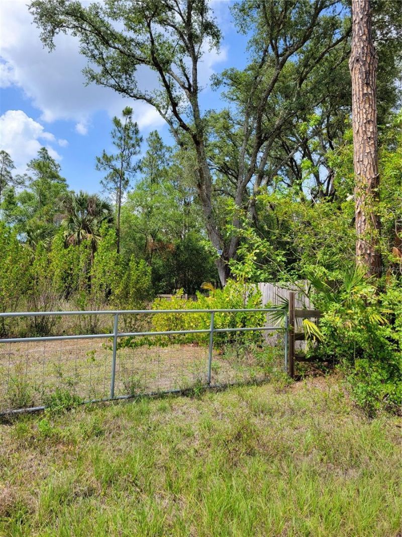 1231 Ramus Street E, Lehigh Acres, FL 33974 Photo