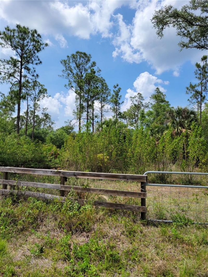 1231 Ramus Street E, Lehigh Acres, FL 33974 Photo