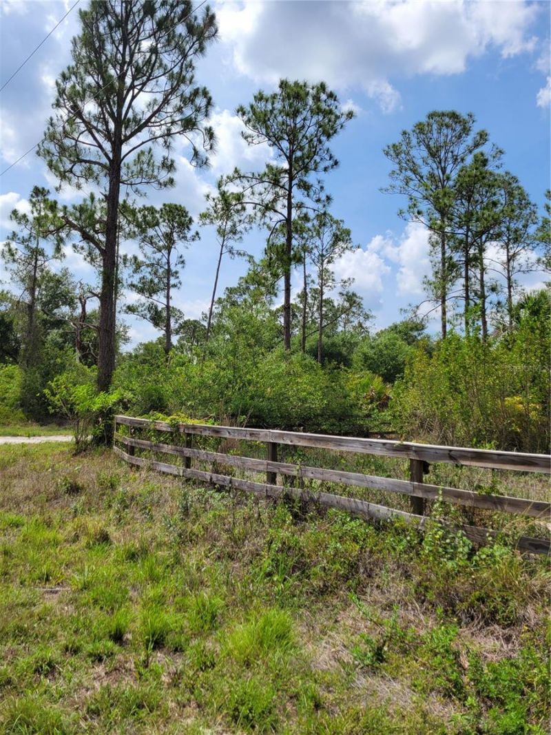 1231 Ramus Street E, Lehigh Acres, FL 33974 Photo
