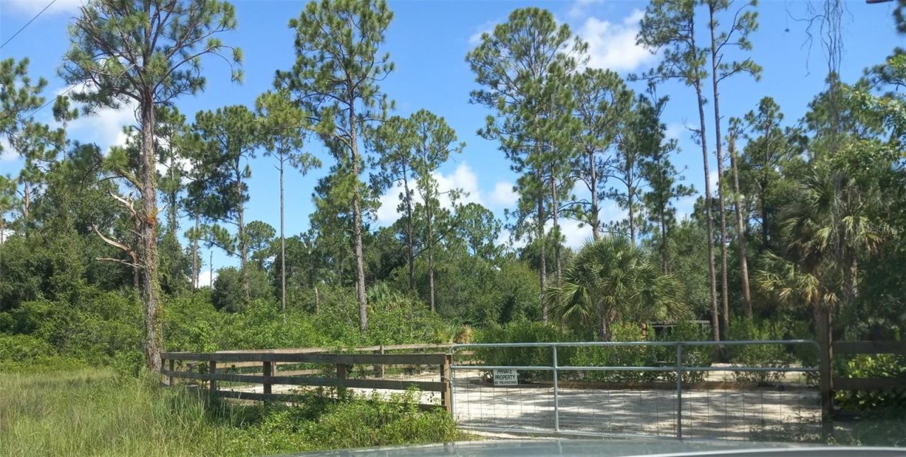 1231 Ramus Street E, Lehigh Acres, FL 33974 Photo