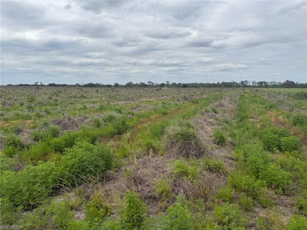 7156 6th Rd Rd , Labelle, FL 33935 Photo