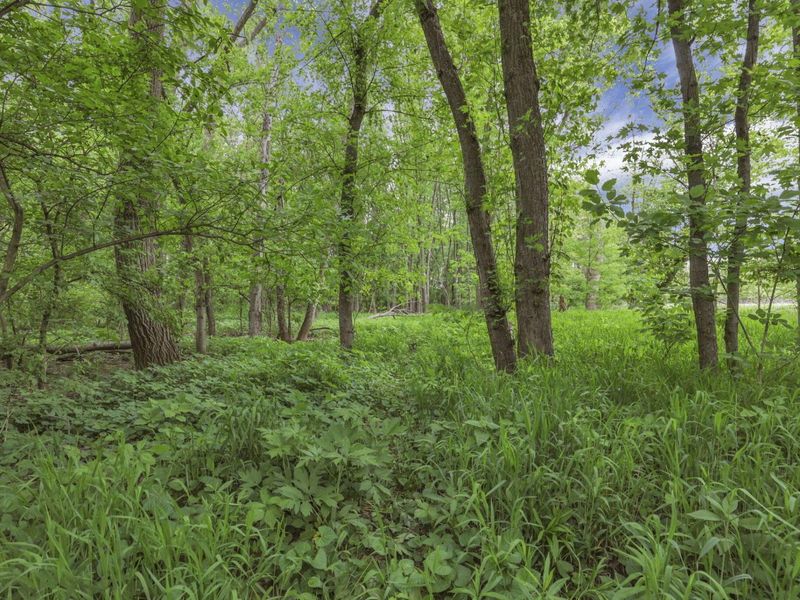 380 Gender Road, Canal Winchester, OH 43110 Photo 33