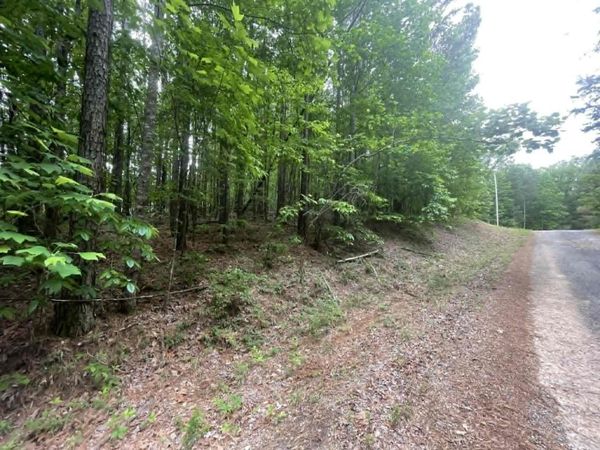 00 Bluff Way, Jasper, AL 35503