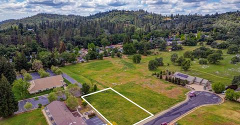 600 Friendly Ct, Murphys, CA 95247 Photo