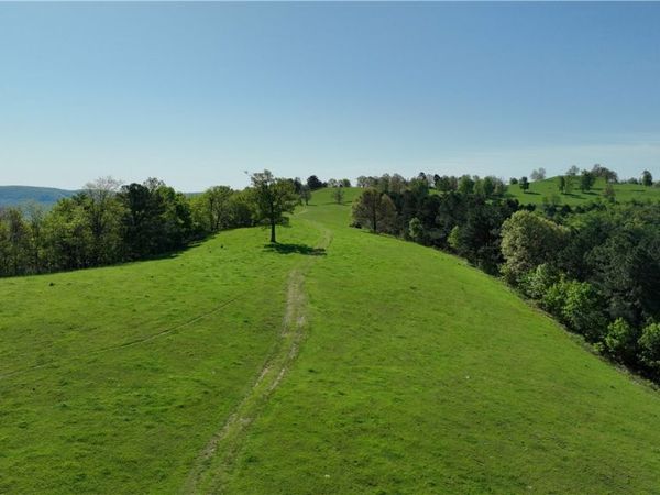 TBD Hwy 74 , Mount Judea, AR 72655