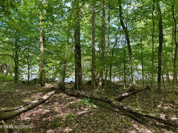 Lot 2 Eagle Ridge Rd, Kingston, TN 37763