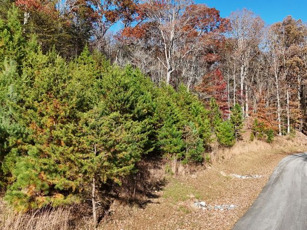 LOT 184 Northshore Drive, Cleveland, GA 30528