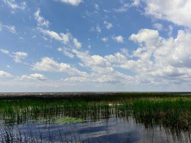 57528 Blue Goose Lane NE, Waskish, MN 56685