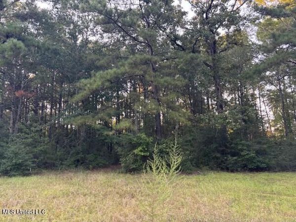 Lot #3 Park Place, McComb, MS 39648