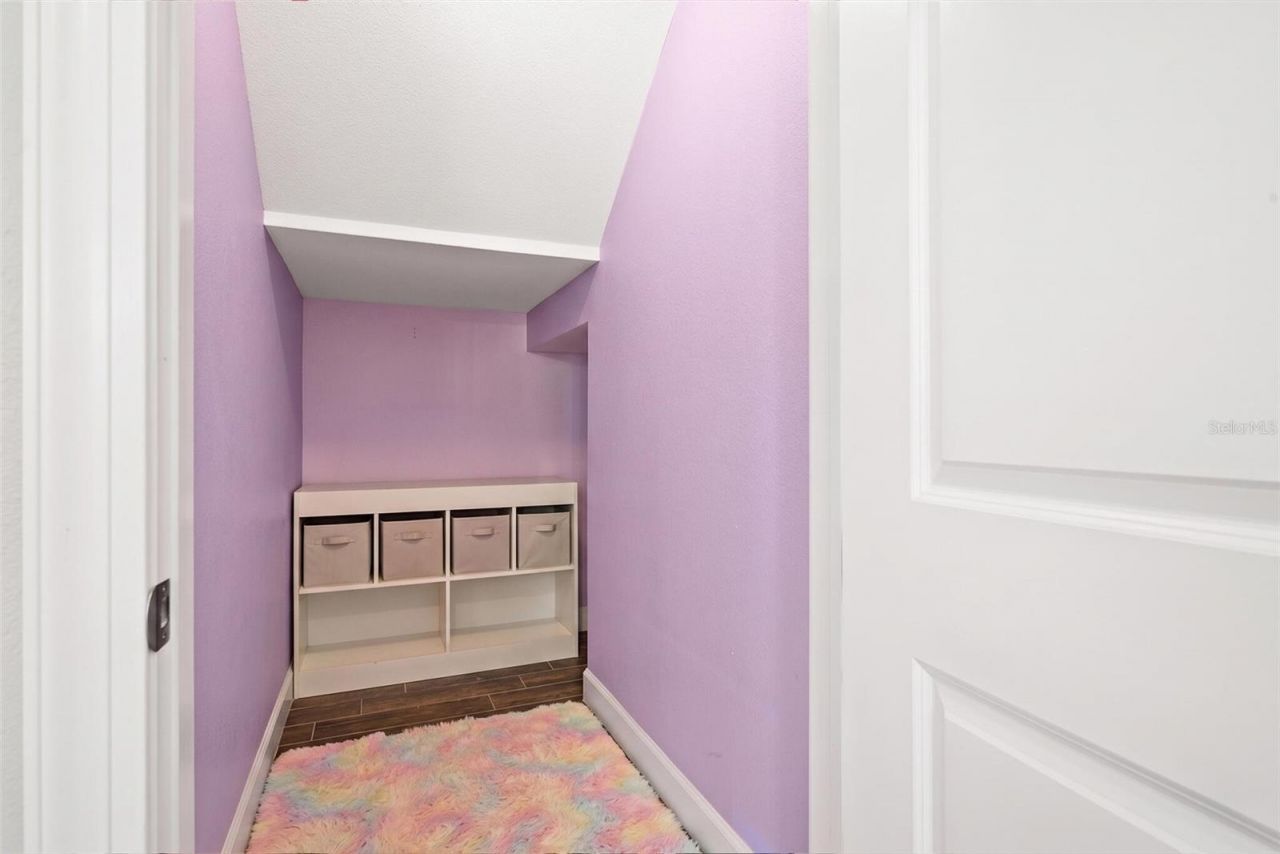 12991 Payton Street, Odessa, FL 33556 Photo