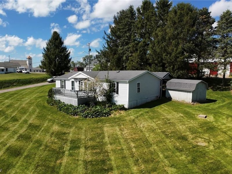 117 S Madison St, Big Prairie, OH 44611 Photo 4