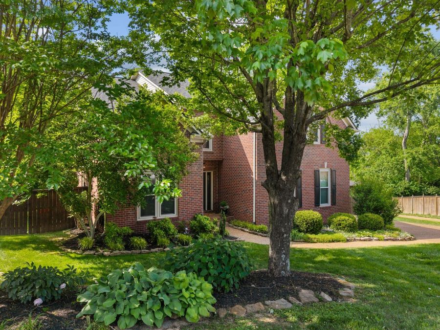 Property Image 61