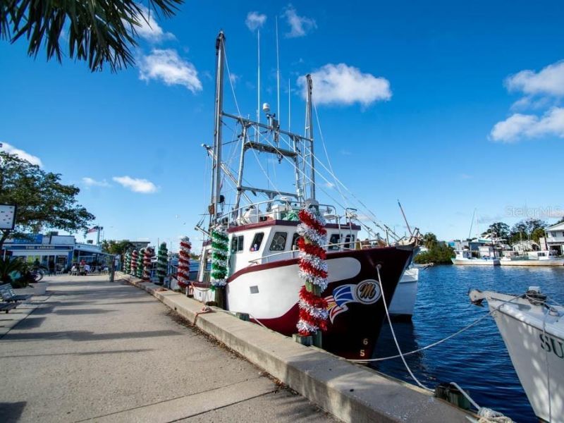 800 Chesapeake Drive , Unit 62, Tarpon Springs, FL 34689 Photo
