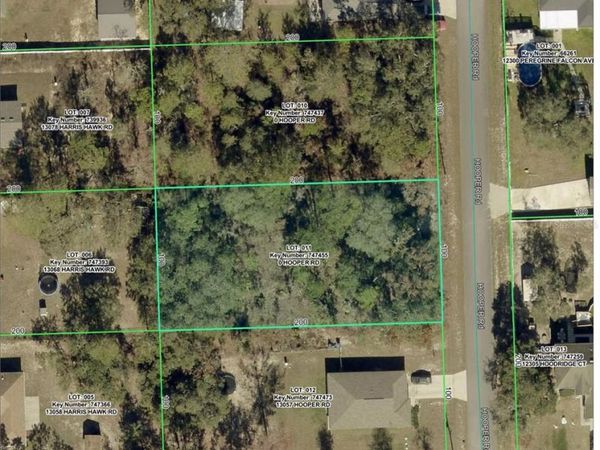 13067 HOOPER ROAD , WEEKI WACHEE, FL 34614