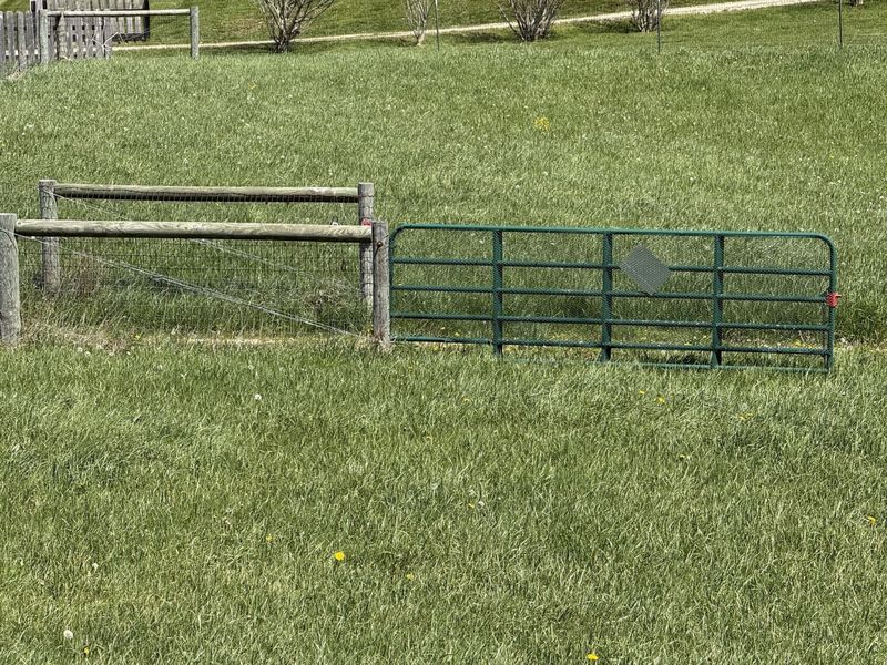 13768 Douglas Lane Lane, Centerburg, OH 43011 Photo 4