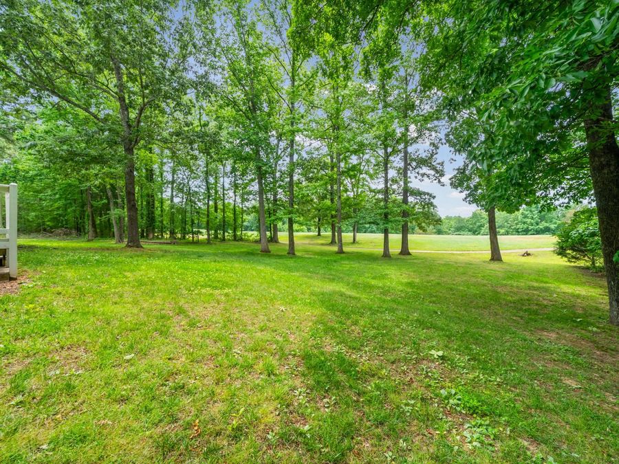 Property Image 69