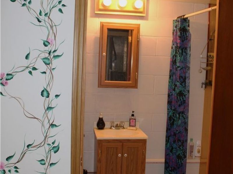 1517 N Walnut Street, Dover, OH 44622 Photo 28