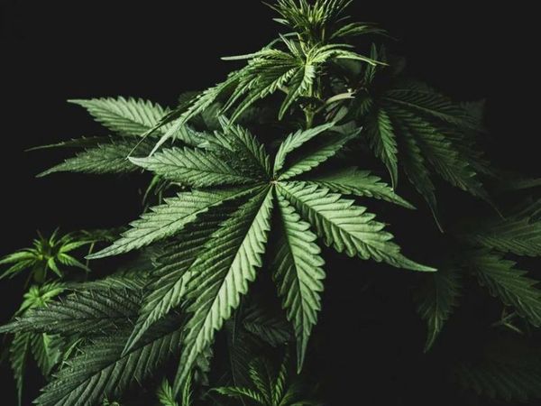 9270 N Saginaw Road , Thetford Twp, MI 48458