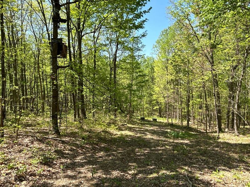 9407 Bever Ridge Road, Peebles, OH 45660 Photo 20