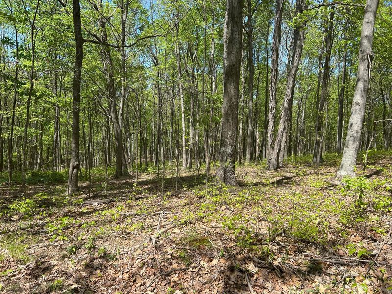 9407 Bever Ridge Road, Peebles, OH 45660 Photo 25