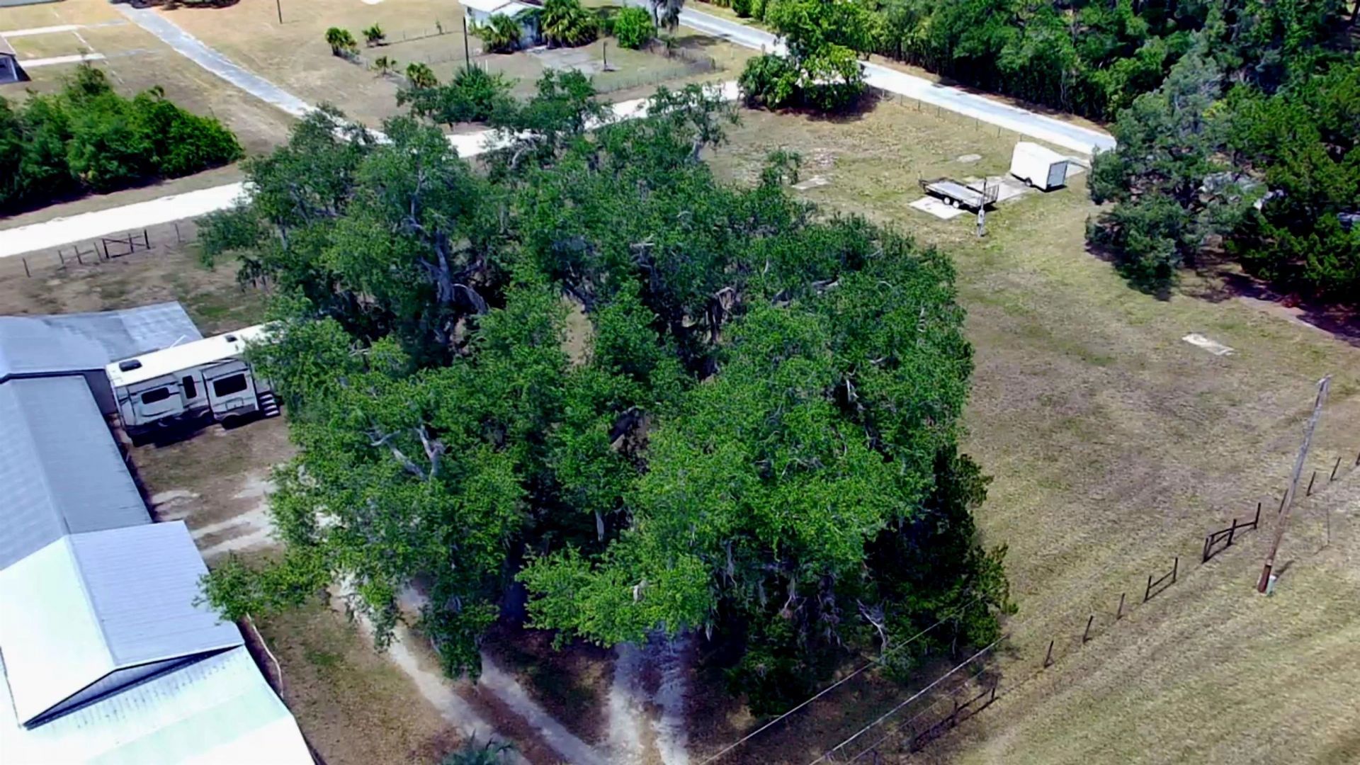 446 SE 242nd Street, Cross City, FL 32628 Photo