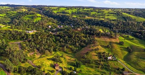 Bunker Hill Rd, Amador, CA 95601 Photo